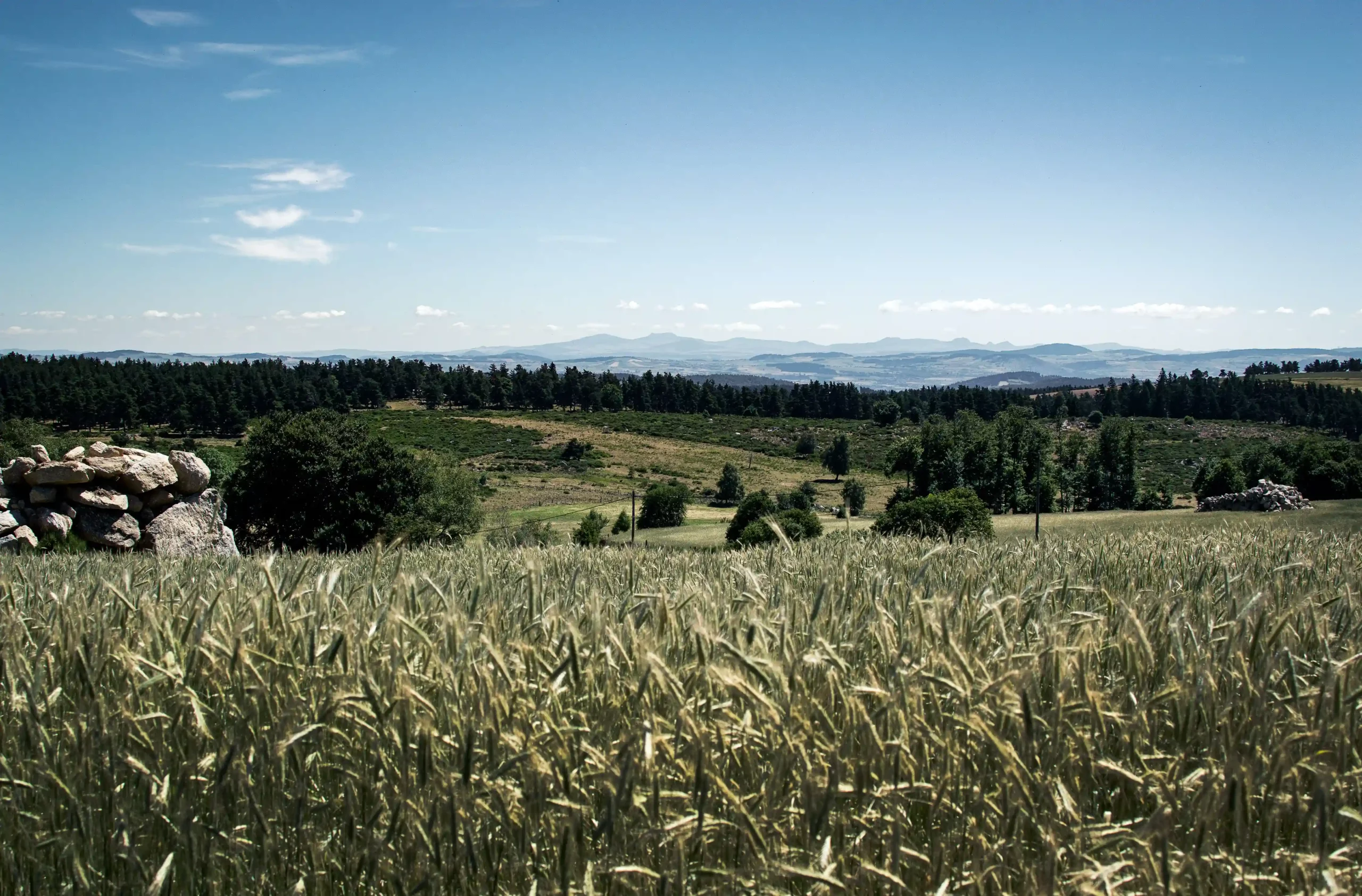 Paysage terroir lozérien