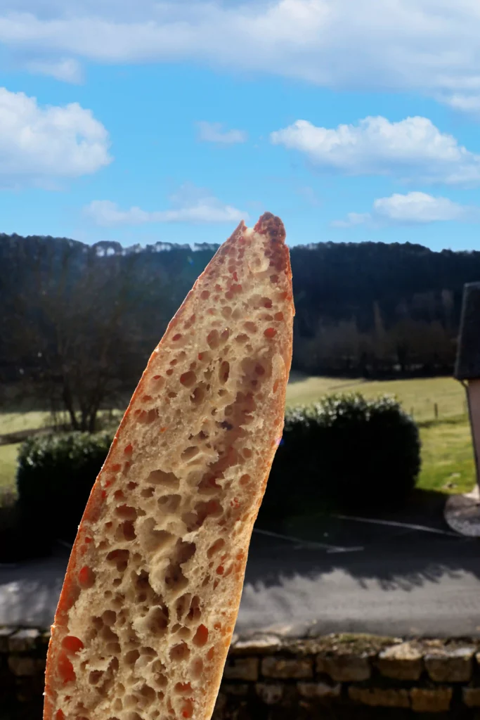 Pain Farine Julia - Meule conventionnelle - Moulin de Colagne