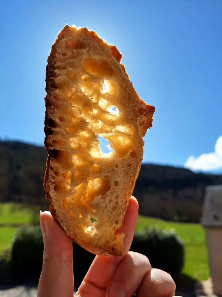 Baguette Julia, mie alvéolée, farine julia par moulin de colagne