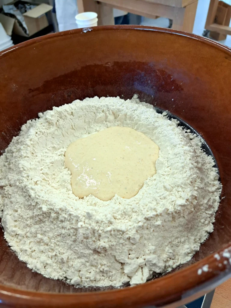 Pain paresseux meule bio T80 - pain cocotte - Moulin de Colagne